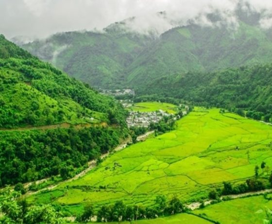 Image result for Ziro Valley, Arunachal Pradesh
